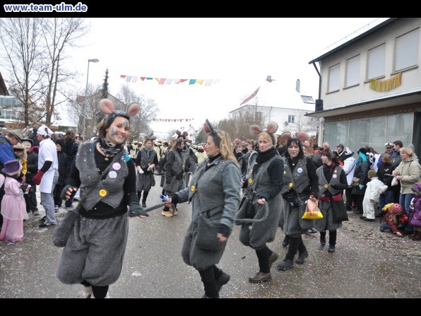 Faschingsumzug @ Dietenheim - Bild 140