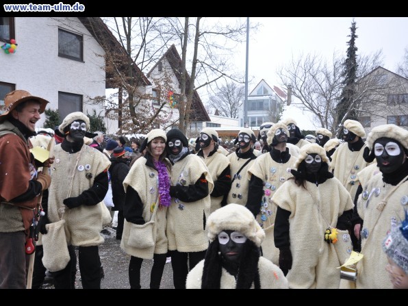 Faschingsumzug @ Dietenheim - Bild 141