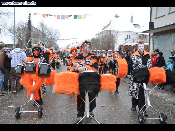 Faschingsumzug @ Dietenheim - Bild 148