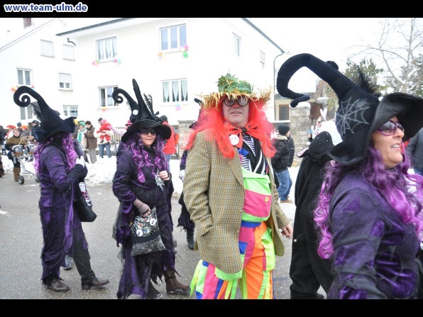 Faschingsumzug @ Dietenheim - Bild 16