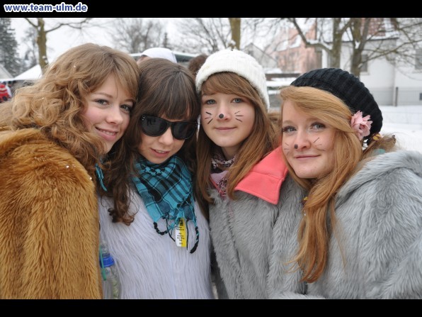 Faschingsumzug @ Dietenheim - Bild 171