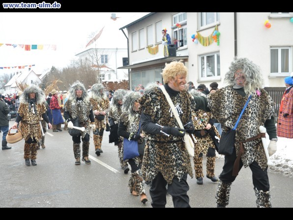 Faschingsumzug @ Dietenheim - Bild 26