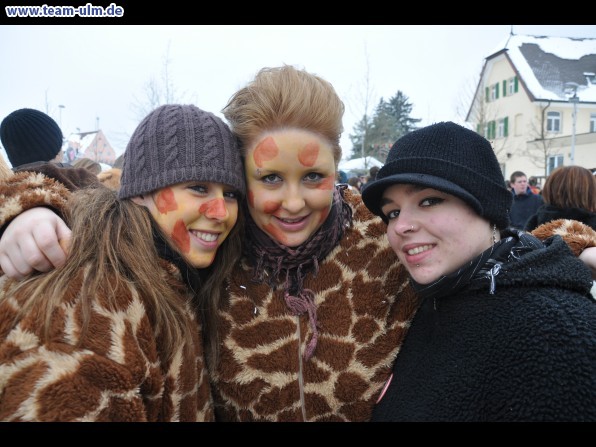 Faschingsumzug @ Dietenheim - Bild 265