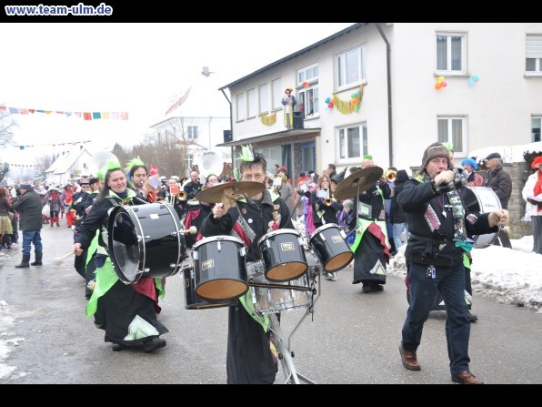 Faschingsumzug @ Dietenheim - Bild 29