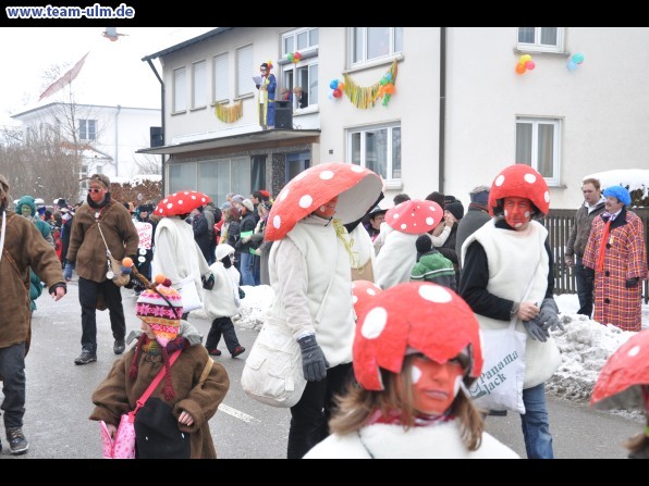 Faschingsumzug @ Dietenheim - Bild 33