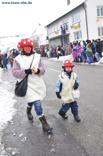 Faschingsumzug @ Dietenheim - Bild 35