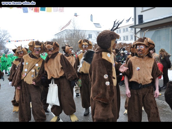 Faschingsumzug @ Dietenheim - Bild 44