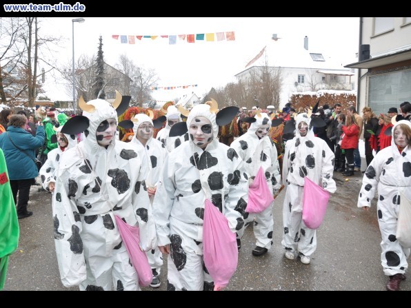 Faschingsumzug @ Dietenheim - Bild 49