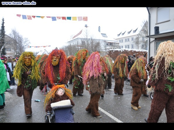 Faschingsumzug @ Dietenheim - Bild 50