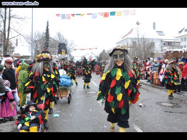 Faschingsumzug @ Dietenheim - Bild 53