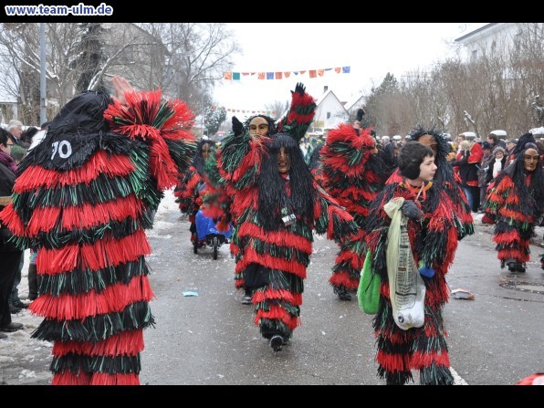 Faschingsumzug @ Dietenheim - Bild 55