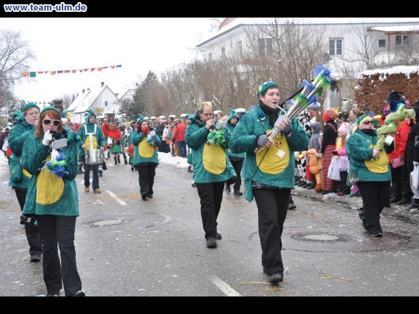 Faschingsumzug @ Dietenheim - Bild 64