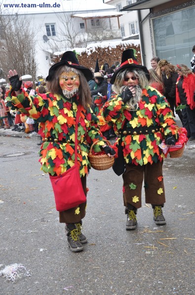 Faschingsumzug @ Dietenheim - Bild 69