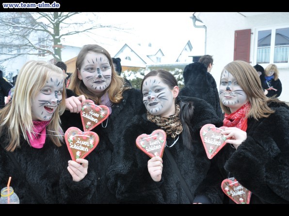 Faschingsumzug @ Dietenheim - Bild 8