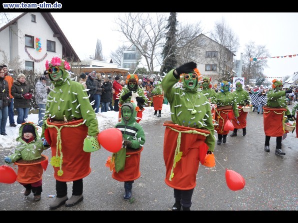 Faschingsumzug @ Dietenheim - Bild 90