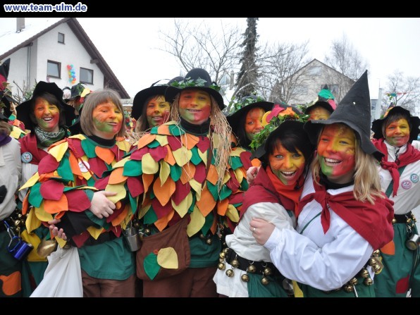 Faschingsumzug @ Dietenheim - Bild 95