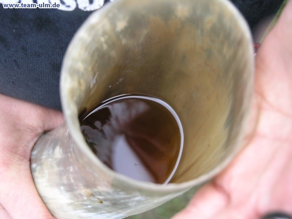 Summer Breeze 2010 @ Dinkelsbuehl - Bild 22