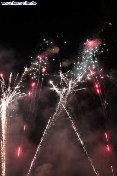 Feuerwerk beim Donaufest @ Donau - Bild 12