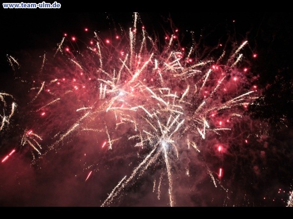 Feuerwerk beim Donaufest @ Donau - Bild 38
