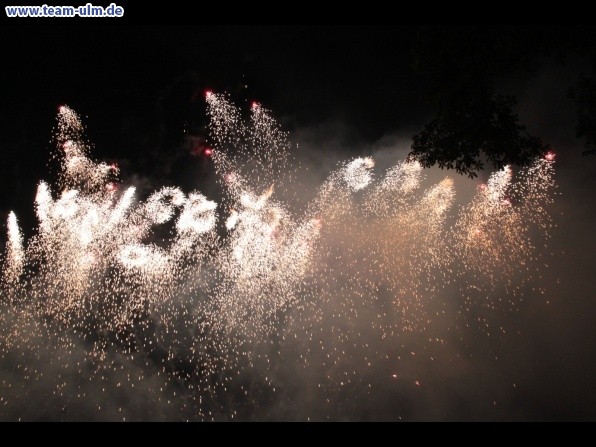 Feuerwerk beim Donaufest @ Donau - Bild 42