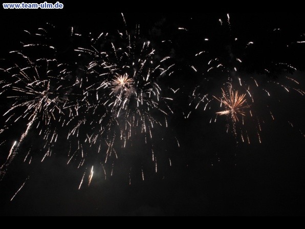 Feuerwerk beim Donaufest @ Donau - Bild 46