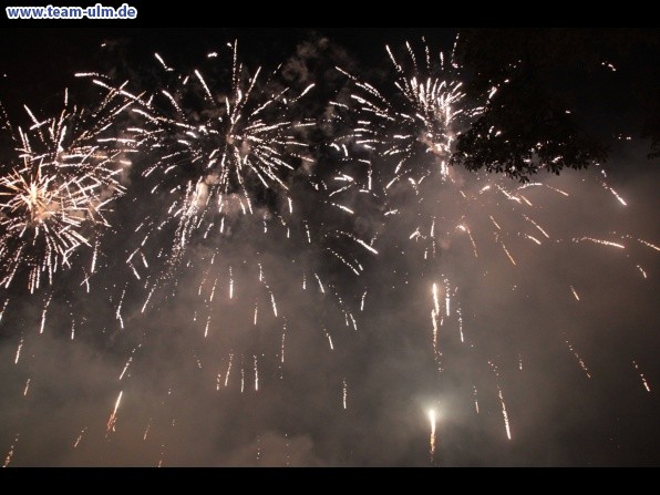 Feuerwerk beim Donaufest @ Donau - Bild 47