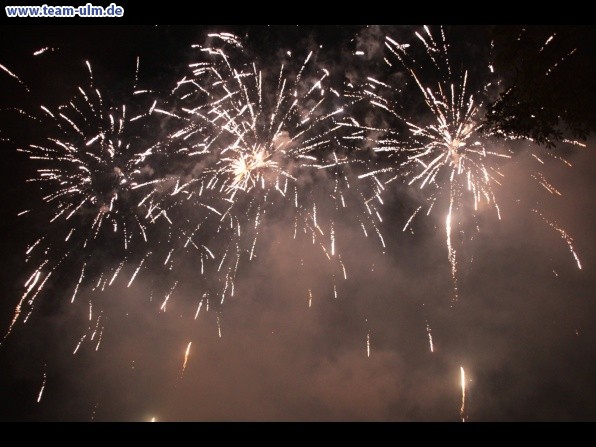 Feuerwerk beim Donaufest @ Donau - Bild 48
