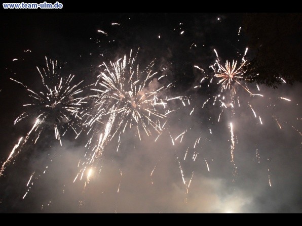 Feuerwerk beim Donaufest @ Donau - Bild 49
