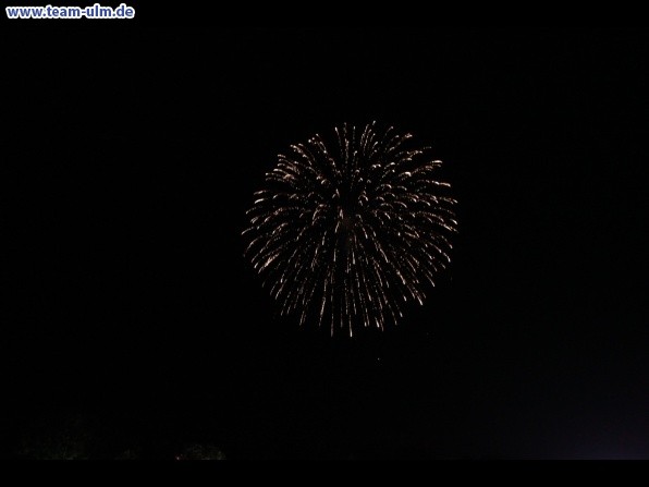 Feuerwerk beim Donaufest @ Donau - Bild 56