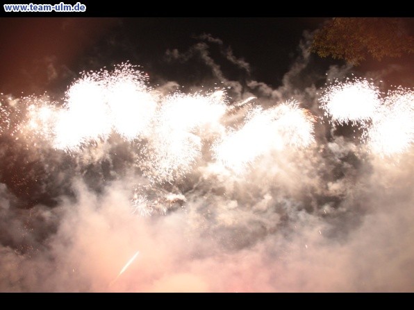 Feuerwerk beim Donaufest @ Donau - Bild 7