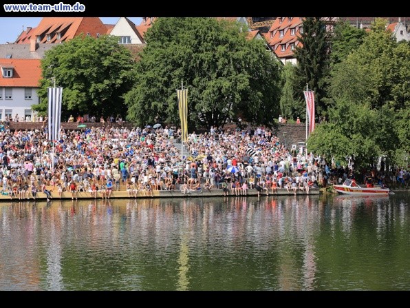 Fischerstechen @ Donau - Bild 90