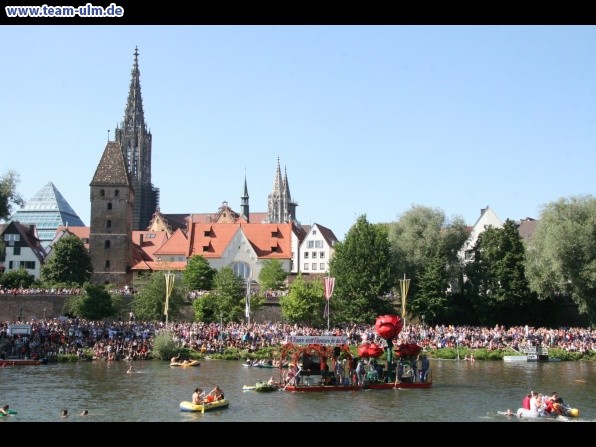 Impressionen Nabada 2010 @ Donau - Bild 320