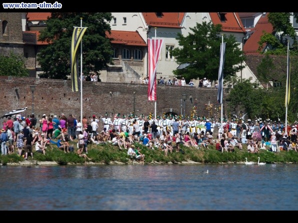 Fischerstechen @ Donau - Bild 41