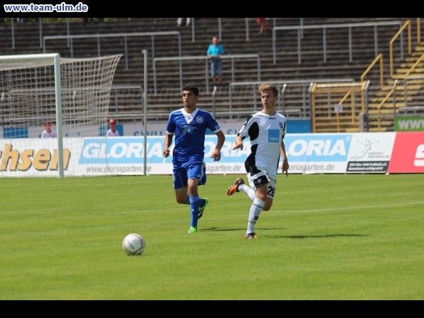 SSV Ulm 1846 - SVN Zweibrücken @ Donaustadion - Bild 13