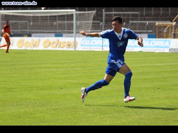 SSV Ulm 1846 - SVN Zweibrücken @ Donaustadion - Bild 26