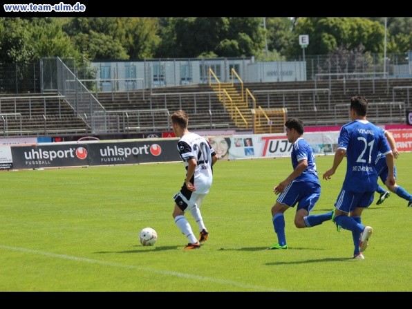 SSV Ulm 1846 - SVN Zweibrücken @ Donaustadion - Bild 29