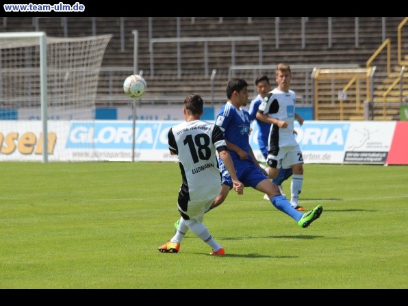 SSV Ulm 1846 - SVN Zweibrücken @ Donaustadion - Bild 7