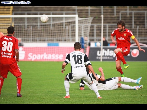 SSV Ulm 1846 - SG Sonnenhof Großaspach @ Donaustadion - Bild 26