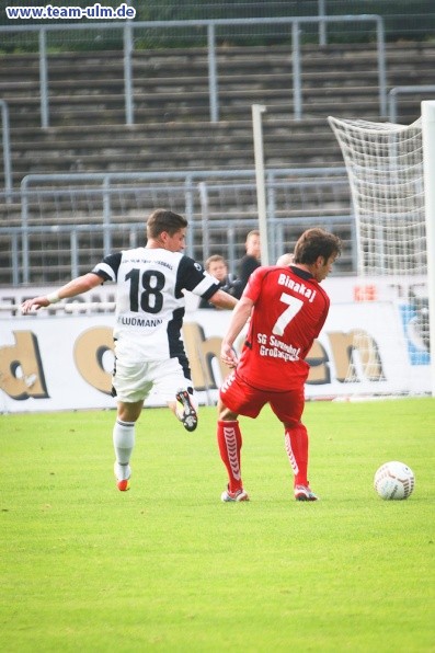 SSV Ulm 1846 - SG Sonnenhof Großaspach @ Donaustadion - Bild 34