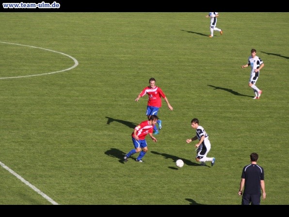 SSV Ulm 1846  - 1. FC Eschborn @ Donaustadion - Bild 24