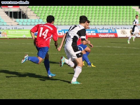 SSV Ulm 1846  - 1. FC Eschborn @ Donaustadion - Bild 47