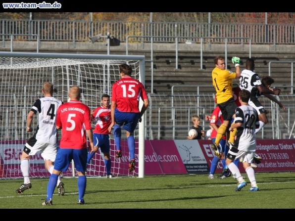 SSV Ulm 1846  - 1. FC Eschborn @ Donaustadion - Bild 50