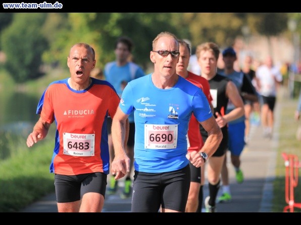 Einstein Marathon Strecke @ Donauwiese - Bild 4