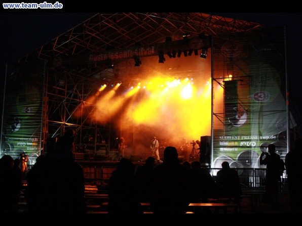 Obstwiesenfestival @ Dornstadt - Bild 94