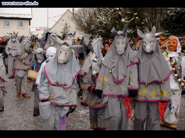 Faschingsumzug @ Eggingen - Bild 13