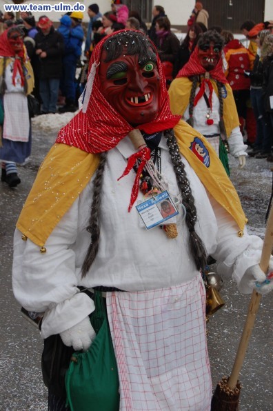 Faschingsumzug @ Eggingen - Bild 131