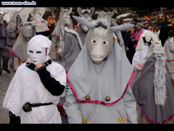 Faschingsumzug @ Eggingen - Bild 14