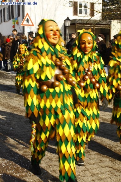 Faschingsumzug  @ Ehingen - Bild 15