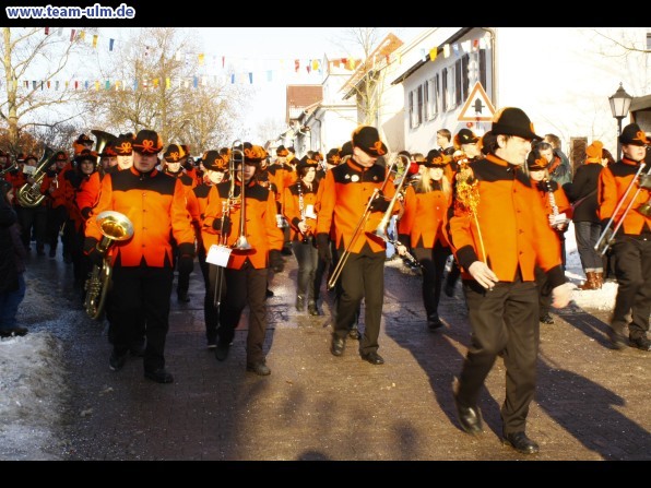 Faschingsumzug  @ Ehingen - Bild 24