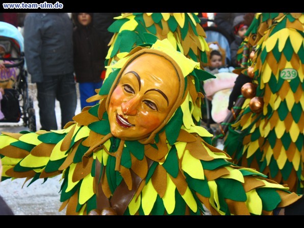 Faschingsumzug  @ Ehingen - Bild 45